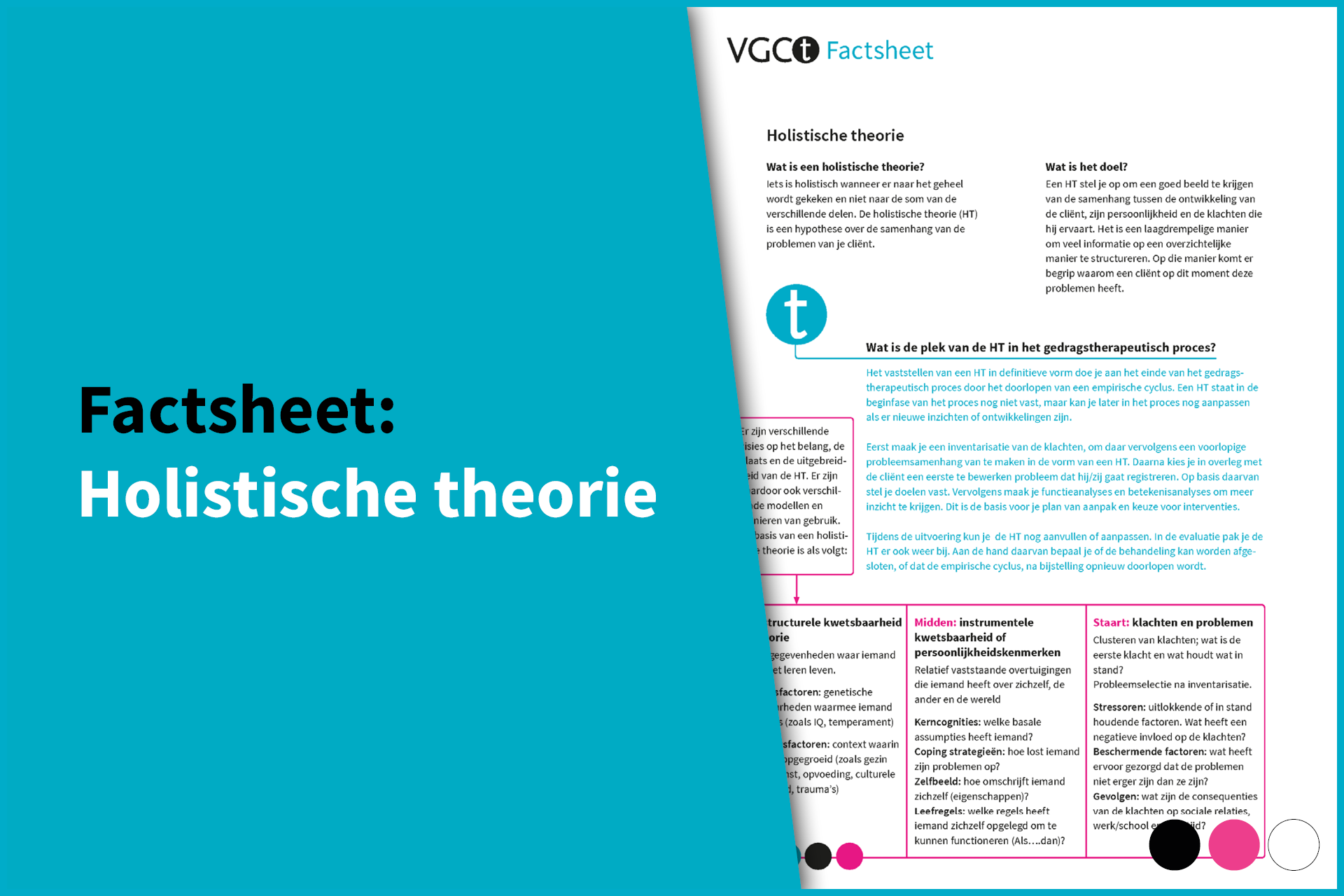Factsheet: Holistische theorie - VGCt Kennisnet